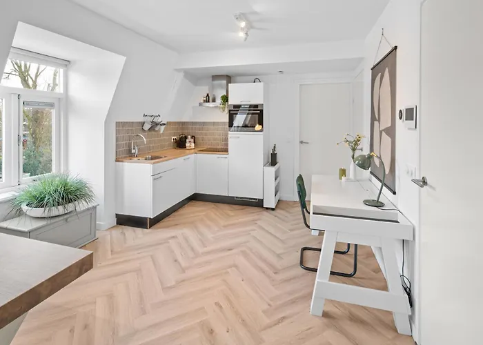 Unique Penthouse Near City Center And Park
