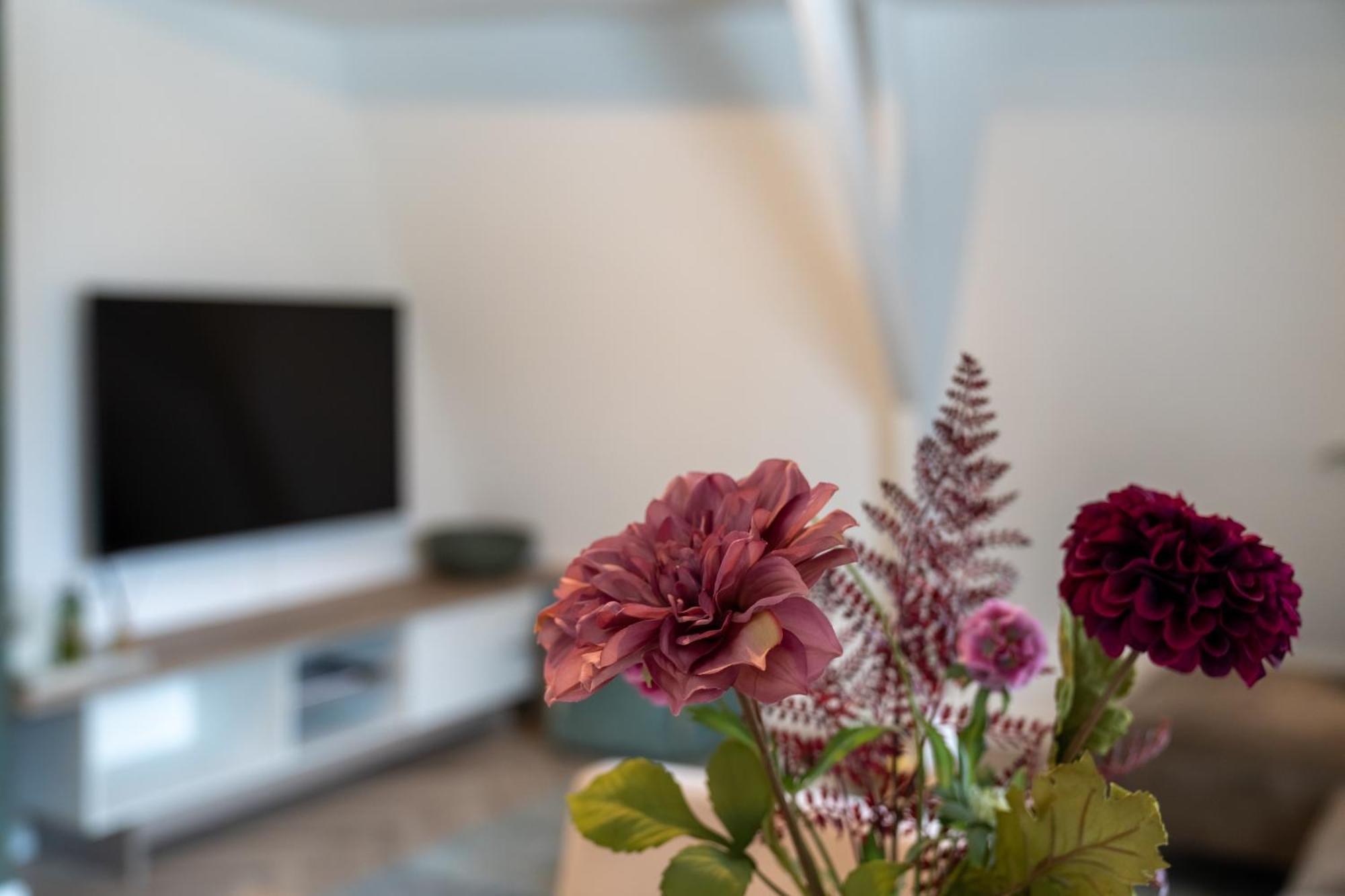 Unique Penthouse Near Center And Park Apartment